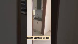 One Bed Apartment Tour | Decent Estate & Builder