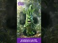 🌿 உடல் சூடு குறைய அருகம்புல்.. சர்க்கரை நோய்க்கு ஆவாரம் பூ! | Avarampoo & Arugampul ✨