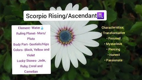 #Scorpio Rising/Ascendant this video is for you! | sol2solbygoddess