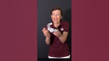 How might you survive a lightning strike? ⚡ #physics #shorts