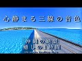 【心静まるBGM】沖縄の絶景と三線音楽が、心を癒し温かい気持ちになります 途中広告無し