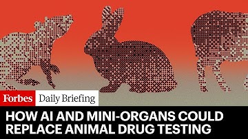 This AI Technology Could Finally End Animal Testing