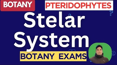 L5 | Stelar system and it