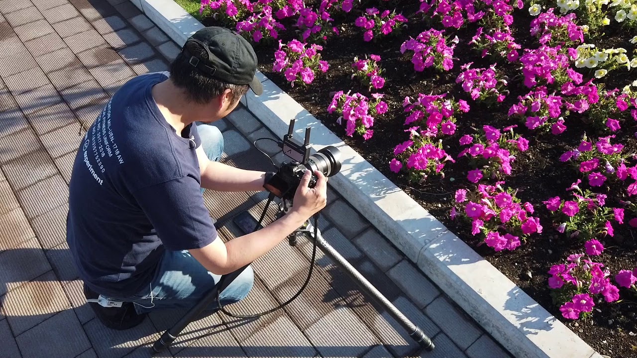 とりあえずこの設定で撮るべし むずかしい理論ナシの実践動画撮影講座 はじめよう一眼動画 第2回 Capa Camera Web