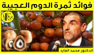 تعرف على فوائد ثمرة نبات الدوم الفريدة مع الدكتور الفايد | Dr Faid | Fawaid TV