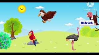 Learn Birds Names Kids Videol Edujoy L