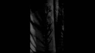 Left Alone... - With Black Branches... Scars And Wounds, The Painful Memories... (Demo) (2016)