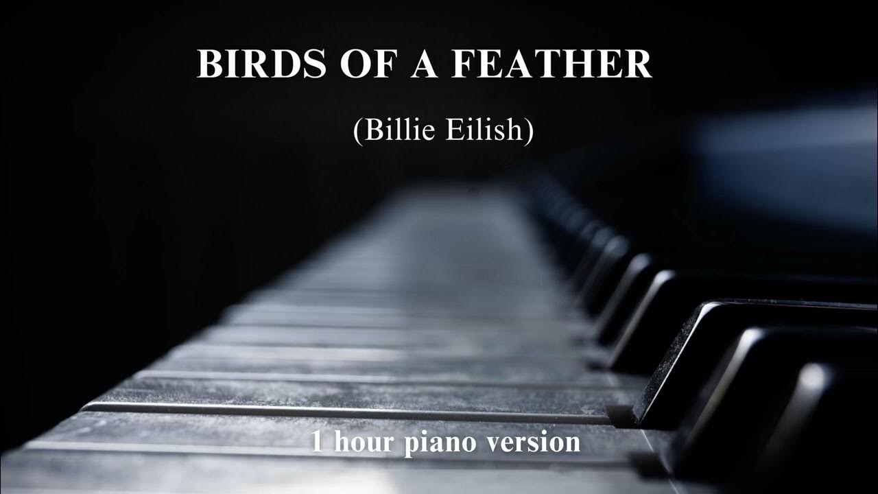 Billie Eilish - BIRDS OF A FEATHER 1 hour piano by ViOLiNiA (for relaxation, stress relief, study ) Billie Eilish - BIRDS OF A FEATHER 1 hour piano by ViOLiNiA (for relaxation, stress relief, study )