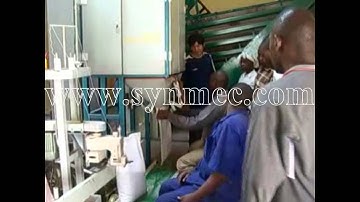 SYNMEC-DCS 20S Bagging Scale System