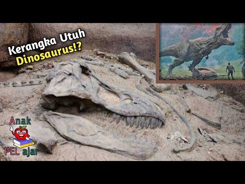 Tulang DINOSAURUS Berumur Puluhan Juta Tahun | 5 Penemuan Fosil Dinosaurus Terbesar di Dunia.