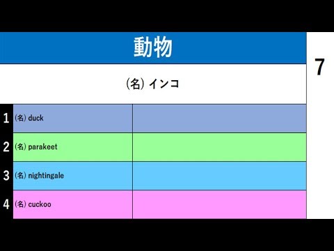 ４択問題 動物 英単語 Youtube