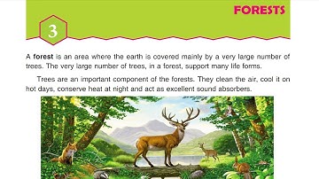 Forests Chapter 3 ,class 5 ,part1 science cbse