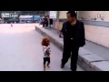 Hilarious Dog Likes To Walk On Two Legs. Hilarious Dog Likes To Walk On Two Legs.