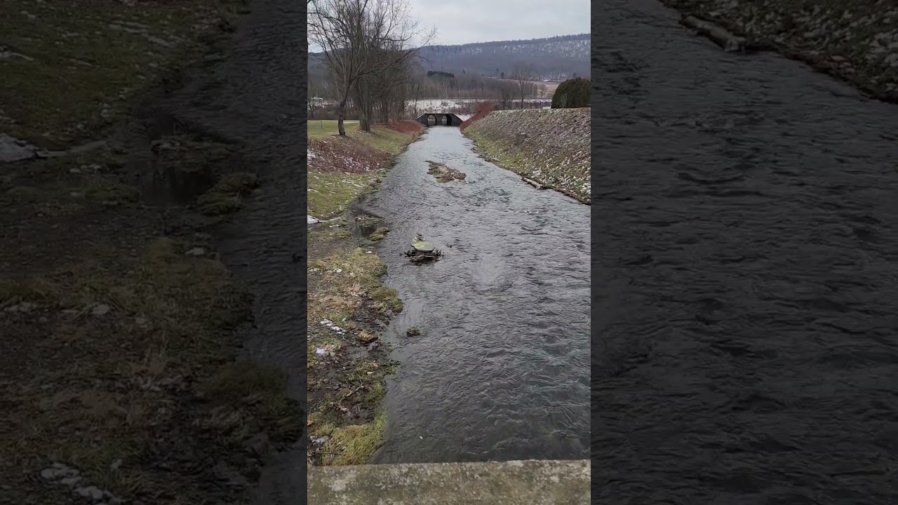 Oneonta Mill Race on January 13, 2026