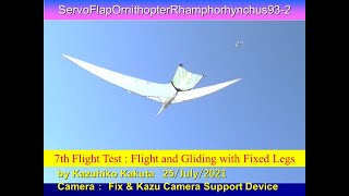サーボ駆動翼竜型羽ばたき機SFORhamphorhynchus93-2 7th Flight Test: Flight and Gliding in Wind with Fixed Legs