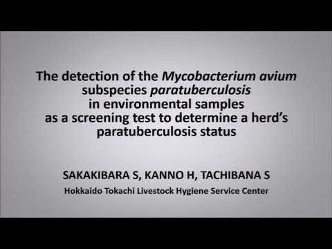 Video: Buah Anak Benih Yang Menumpahkan Mycobacterium Avium Subspesies Paratuberculosis Adalah Biasa Di Ladang Tenusu Yang Dijangkiti