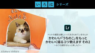 オンライン講座：ペットの撮影は難しいってあきらめていませんか かわいい「うちのこ」をもっとかわいく撮るコツ教えます その2　～おうち撮影をもっと楽しもう～ | 「いろは」シリーズ