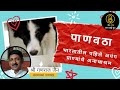 "पाणवठा" भारतातील पहिला अपंग प्राण्यांचा अनाथाश्रम | ग्रेट-भेट - श्री गणराज जैन