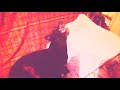 Собака которая поет