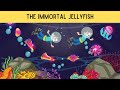 The Immortal jellyfish