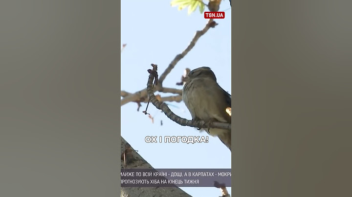 Погода на вихідних вас здивує!