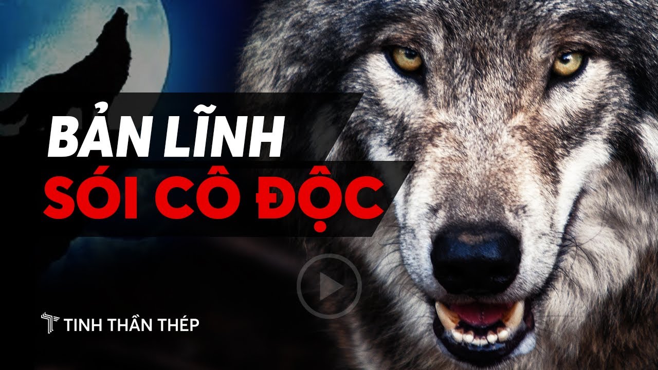 Sói Cô Độc | Tư Duy Tích Cực Mỗi Ngày | Tinh Thần Thép | Thủ Thuật Có Ích  Liên Quan Đến Chủ Đề Hình Ảnh - Logobox.Vn