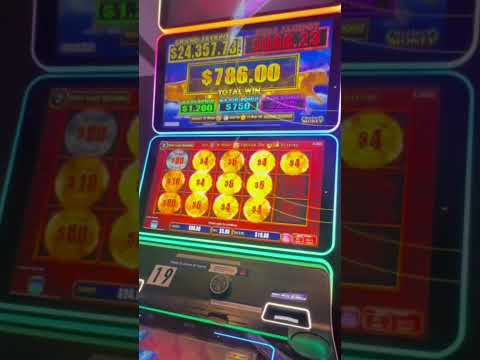 El que no arriesga no gana #memes #casino #humor #apuestas
