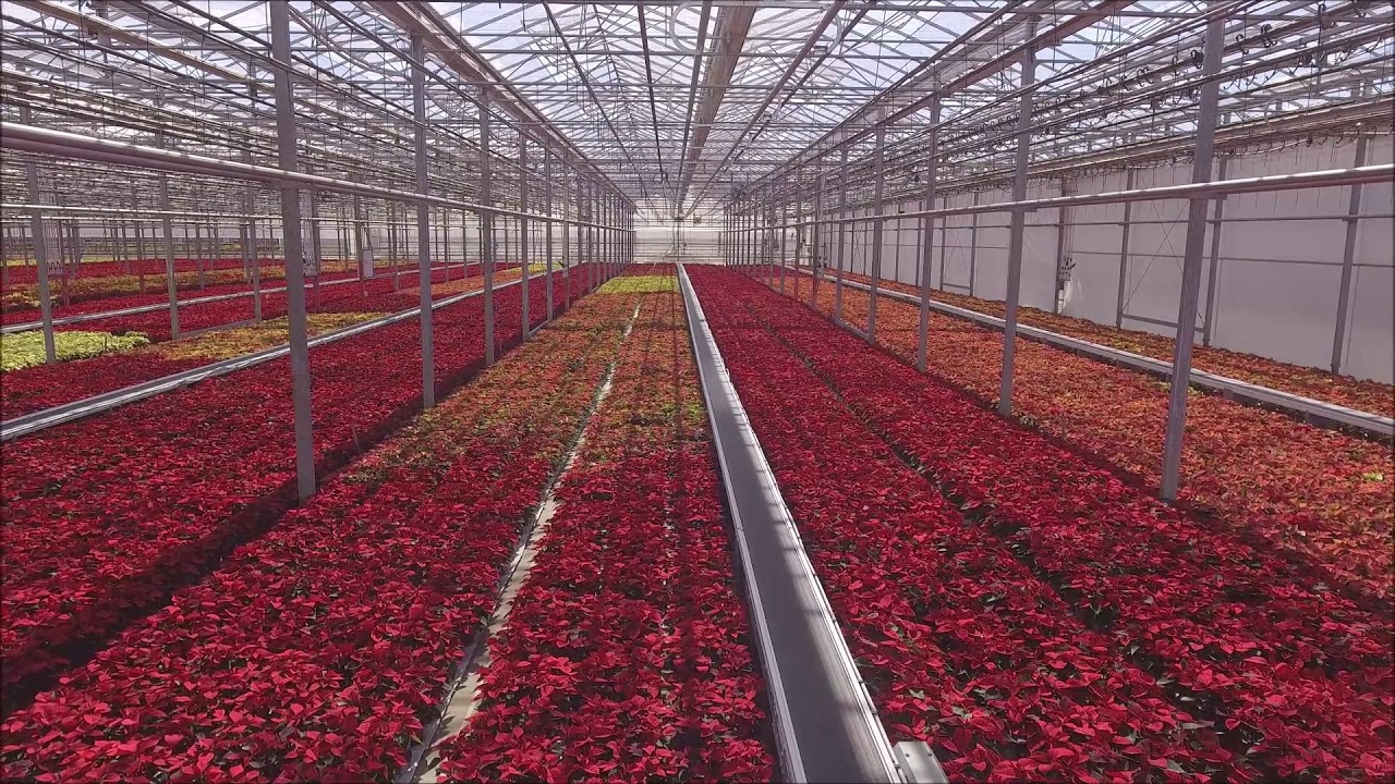 Rockwell Farms 2019 YouTube