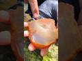 I got a white striped crystal agate stone #gemstone #crystals #diamond #gold #fypシ
