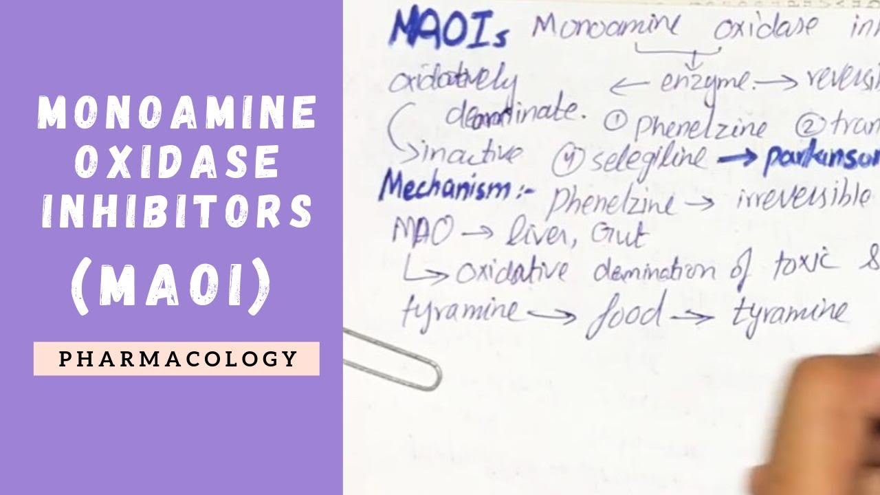 Maois Monoamine Oxidase Inhibitors Tyramine Toxicity Pharmacology Youtube