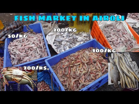 NEW WHOLESALE FISH MARKET IN NAVI MUMBAI/AIROLI