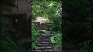 Heavy relax rain sounds for deep sleeping no ads #rain #rainoundforsleep #asmr #nature #relax #relax