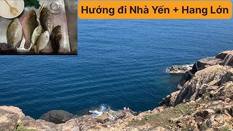 Câu Cá Biển Tự Nhiên, Câu Cá Nhơn Lý, Câu Ghềnh, Cá Mó, Cá Dò, Cá Dìa. ( Vietnamese fishing ).