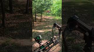 Looking For That Special Bird!! #outdoors #hunting #archery #hunt #turkey