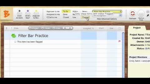 BizPAD Filter Bar Basic Training