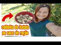 COMO PLANTAR BATATINHA NO SACO INCRÍVEL !! Colhi 5 Kg de Batata Em Pouco Espaço.🥰🌱 CONFIRA!!!