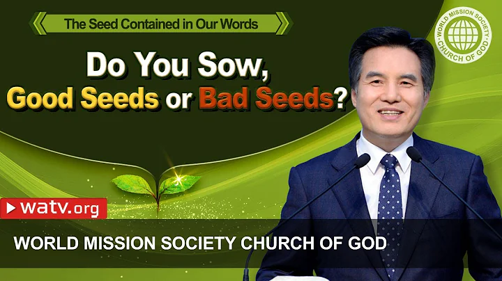 The Seed Contained in Our Words | WMSCOG, Church of God, Ahnsahnghong, God the Mother - DayDayNews