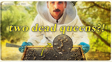 Can These Bees Be Saved or Is It Too Late?