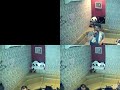 ヤン坊 ニン坊 トン坊