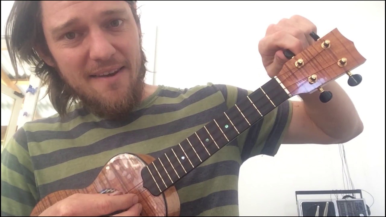 How To Play Ukulele Lesson 1 Tune the Dang Thing! with Charlie