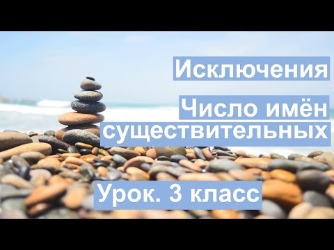 Урок. Число имён существительных. Исключения. Русский язык 3 класс. #учусьсам