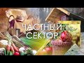 Жизнь в Карелии. Дом на своей земле