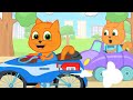 🔴 Cats Family in English - Crazy Race Cartoon for Kids