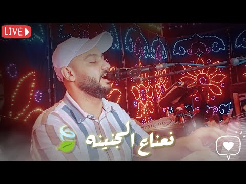 شاهد اقوي ابداعات الفنان احمد الصعيدي 2025 اغنية نعناع الجنينه