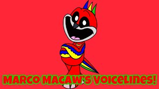 Marco Macaw’s Voicelines!