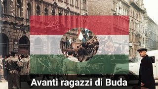 Avanti Ragazzi di Buda (İtalyanca Macar Devrim Şarkısı) Türkçe çeviri