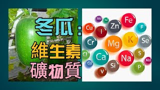 【維生素 礦物質】冬瓜：富含維生素 礦物質成分， 對維持健康非常重要！|富含 礦物質 |富含 維生素