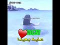 يلغالي   دايرني لكبيدة