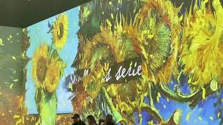 Van Gogh Experience Part II