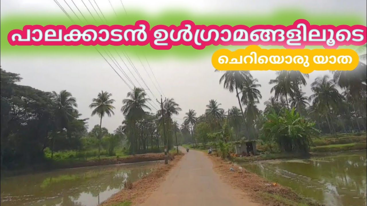Palakkad Pollachi Village road YouTube